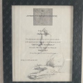 Ingrandire l'immagine: certificate 12