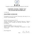 Ingrandire l'immagine: certificate 4