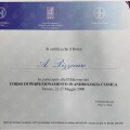 Ingrandire l'immagine: certificate 1