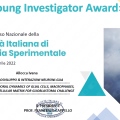 Ingrandire l'immagine: certificate 4
