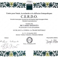 Ingrandire l'immagine: certificate 5
