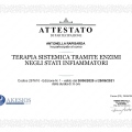 Ingrandire l'immagine: certificate 13