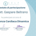 Ingrandire l'immagine: certificate 9