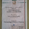 Ingrandire l'immagine: certificate 12