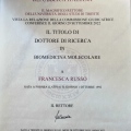 Ingrandire l'immagine: certificate 5