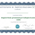 Ingrandire l'immagine: certificate 6