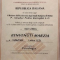 Ingrandire l'immagine: certificate 10