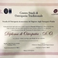 Ingrandire l'immagine: certificate 2