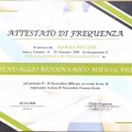 Ingrandire l'immagine: certificate 2