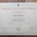 Ingrandire l'immagine: certificate 1