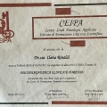 Ingrandire l'immagine: certificate 12