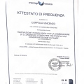 Ingrandire l'immagine: certificate 4