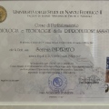 Ingrandire l'immagine: certificate 2