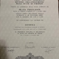 Ingrandire l'immagine: certificate 1