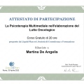 Ingrandire l'immagine: certificate 5