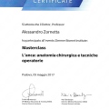 Ingrandire l'immagine: certificate 7