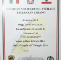 Ingrandire l'immagine: certificate 5