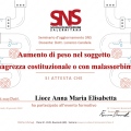 Ingrandire l'immagine: certificate 2