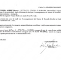 Ingrandire l'immagine: certificate 4