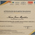 Ingrandire l'immagine: certificate 1