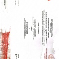 Ingrandire l'immagine: certificate 1