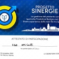 Ingrandire l'immagine: certificate 8