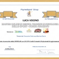 Ingrandire l'immagine: certificate 1