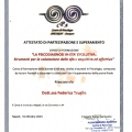 Ingrandire l'immagine: certificate 6