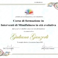 Ingrandire l'immagine: certificate 3