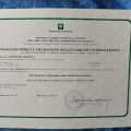 Ingrandire l'immagine: certificate 2