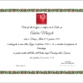 Ingrandire l'immagine: certificate 7