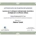 Ingrandire l'immagine: certificate 2