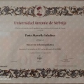 Ingrandire l'immagine: certificate 3