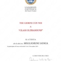 Ingrandire l'immagine: certificate 4