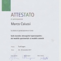 Ingrandire l'immagine: certificate 2