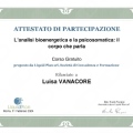 Ingrandire l'immagine: certificate 2