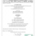 Ingrandire l'immagine: certificate 1