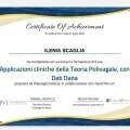 Ingrandire l'immagine: certificate 14