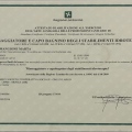 Ingrandire l'immagine: certificate 3