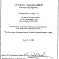 Ingrandire l'immagine: certificate 11