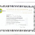 Ingrandire l'immagine: certificate 1