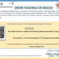 Ingrandire l'immagine: certificate 4