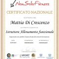 Ingrandire l'immagine: certificate 10