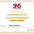 Ingrandire l'immagine: certificate 3