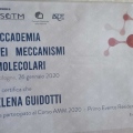 Ingrandire l'immagine: certificate 11