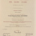 Ingrandire l'immagine: certificate 2