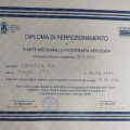 Ingrandire l'immagine: certificate 1