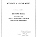 Ingrandire l'immagine: certificate 5