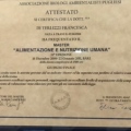 Ingrandire l'immagine: certificate 1