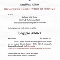 Ingrandire l'immagine: certificate 1